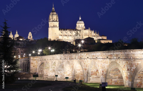 bridge leading to the Cathedral in Salamanca photo