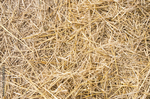 Photo Texture hay closeup in color.