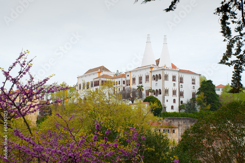 Sintra National Palace, Portugal