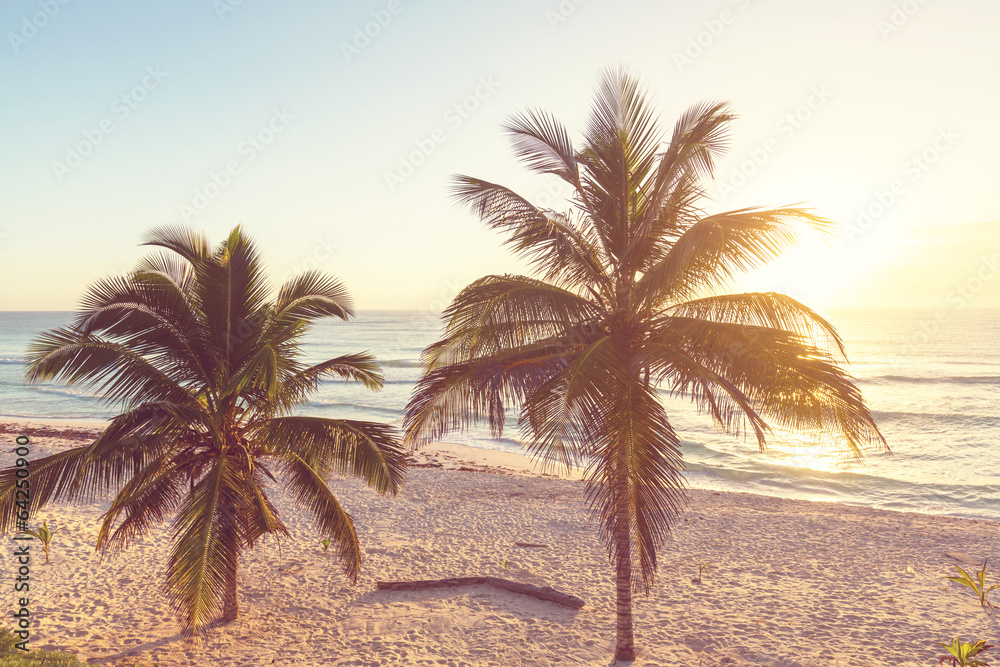 Obraz premium Tropical beach