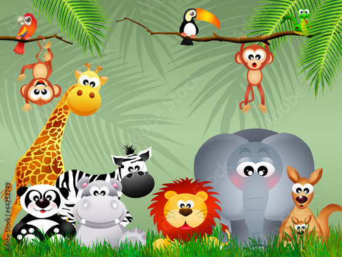 jungle animals © adrenalinapura