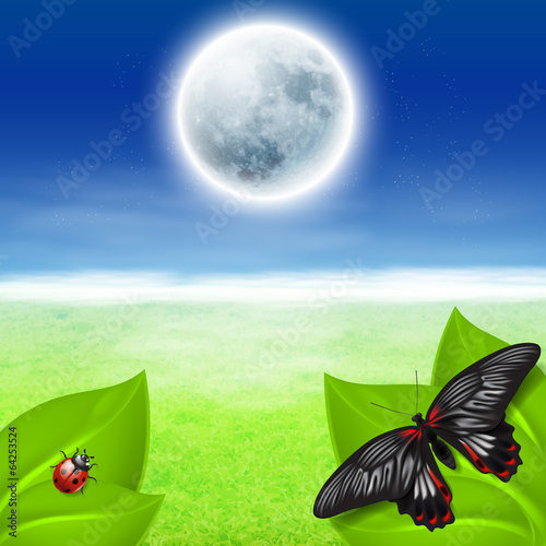 Full moon, green grass and insects photo