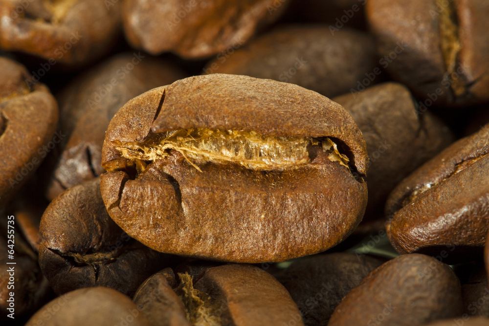 the mature grain of coffee photographed by a close up the mature grain of coffee photographed by a close up