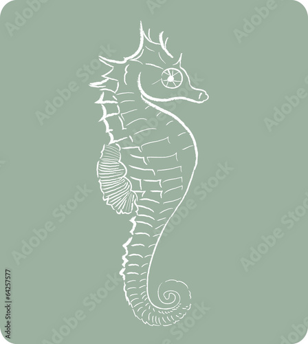 Seahorse