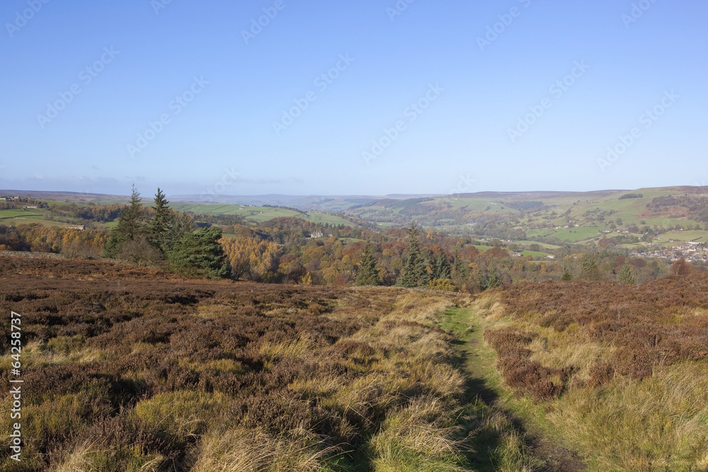 Fototapeta premium moorland view