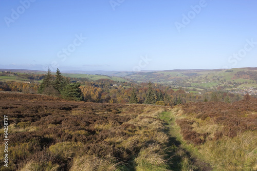 moorland view