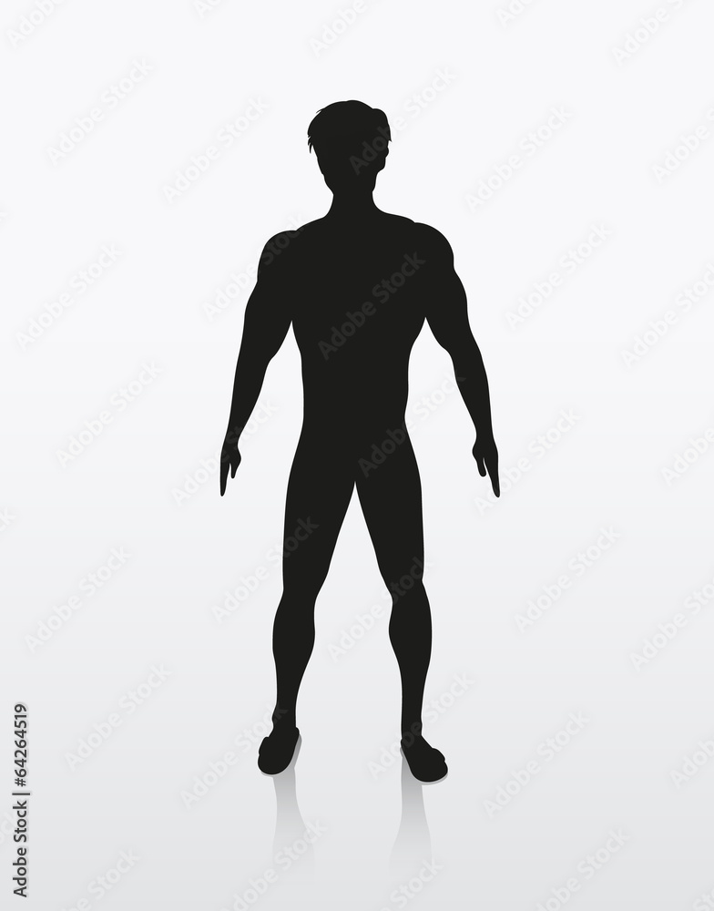 silhouette illustration of the human body