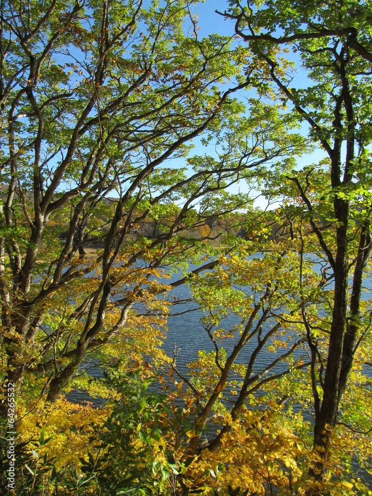 木々の隙間から見える湖
