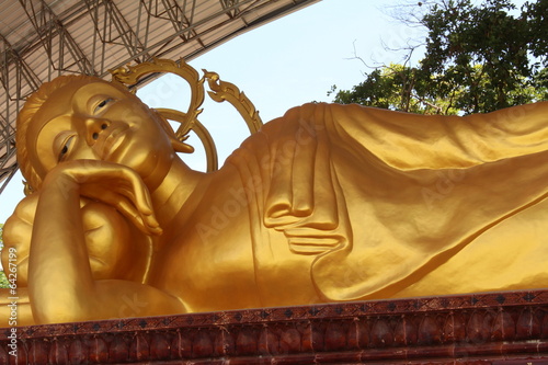 Wat Thai Amnat photo