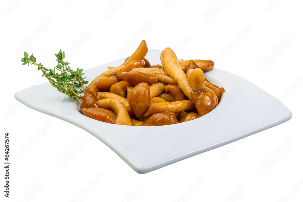 Armillaria Armillaria