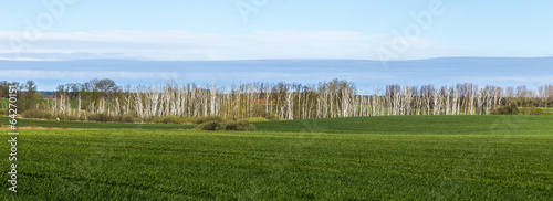 landscape in Usedom