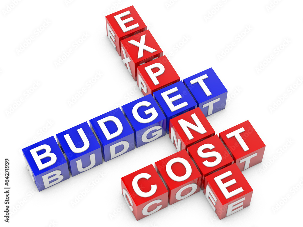 Expense Budget and Cost blue and red cubes over white Background Expense Budget and Cost blue and red cubes over white Background