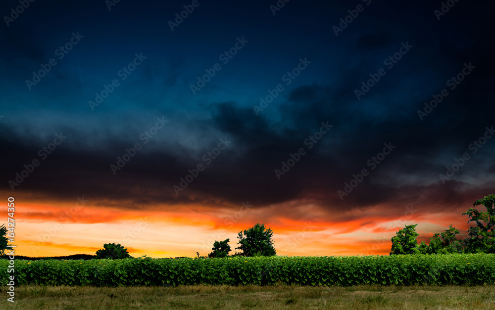 Obraz premium night background