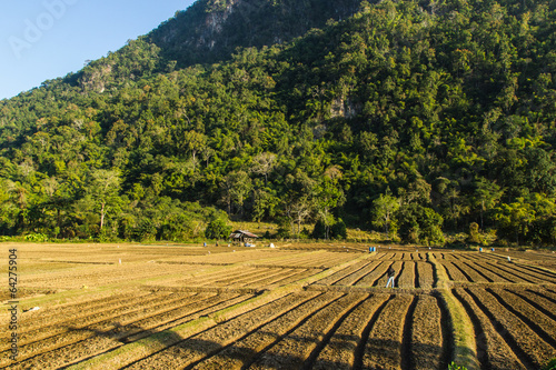 New ploughed field.in front of a mountain in Thailand..