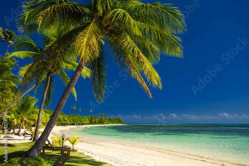 Fototapeta Naklejka Na Ścianę i Meble -  Palm trees and a white sandy beach at Fiji
