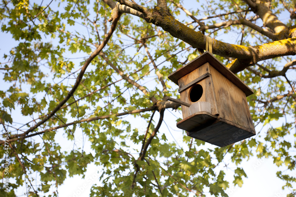 Birdhouse Birdhouse