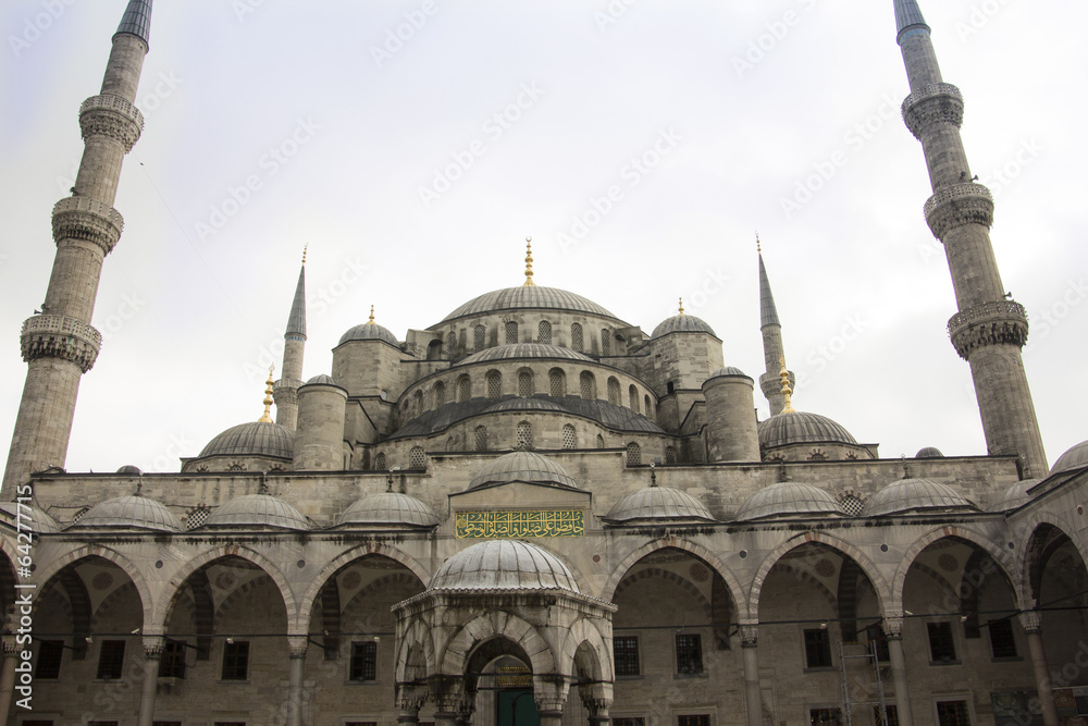 Obraz premium the blue mosque of Istanbul