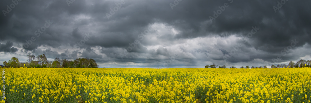 Obraz premium Storm upcoming