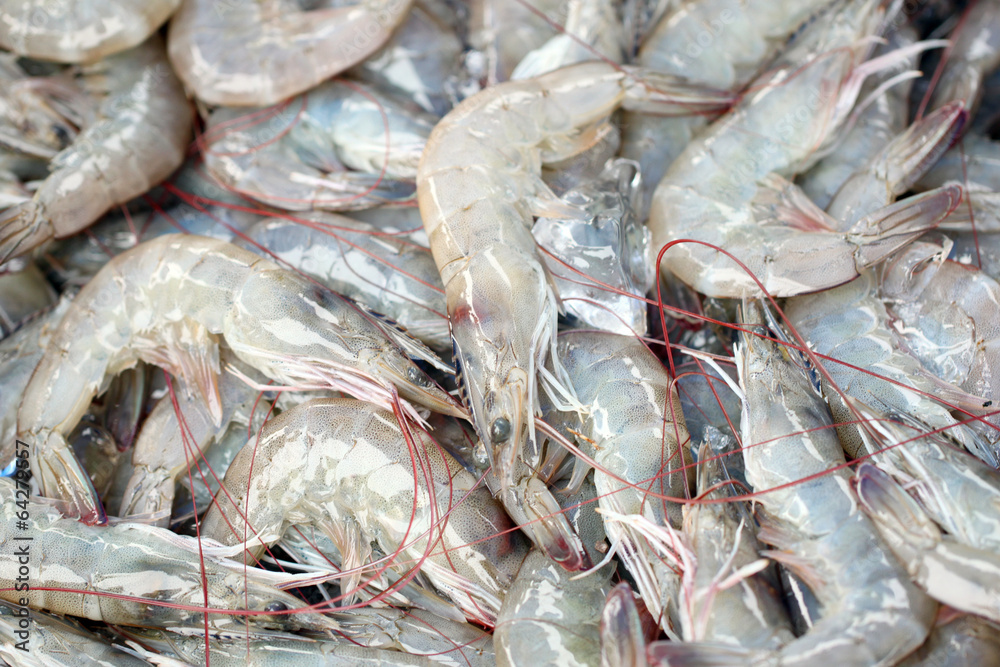 Fresh shrimps in seafood market. Fresh shrimps in seafood market.