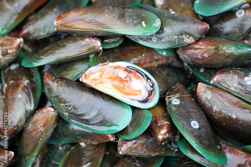 green mussel in seafood market.
