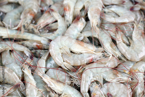 Fresh shrimps in seafood market.