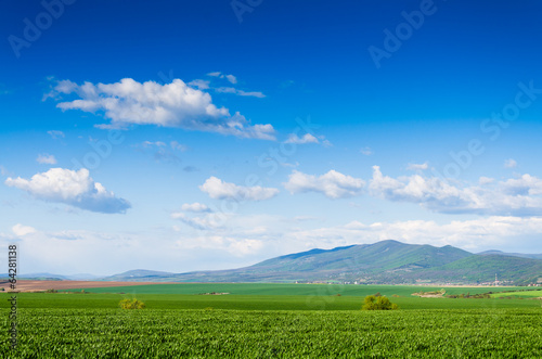green field background