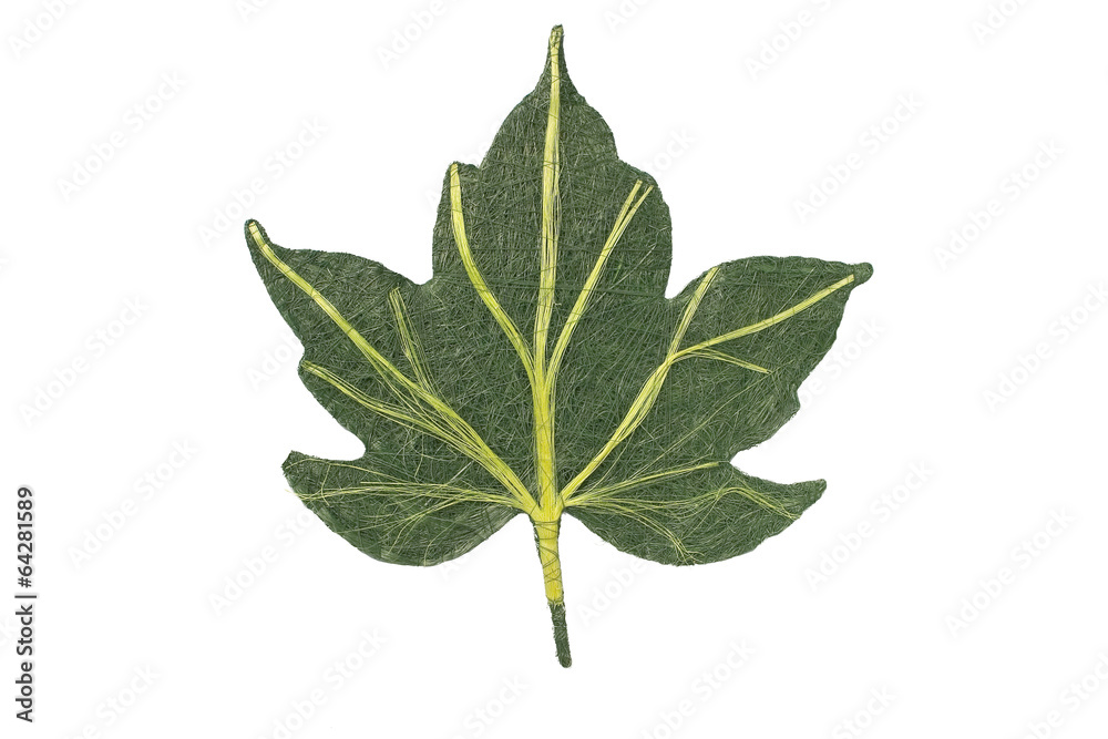 Obraz premium Herbstblatt