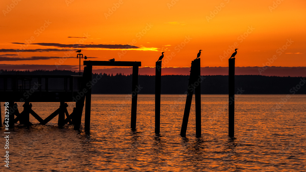 Birds perched on pier in orange sunset