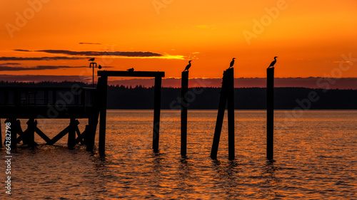 Birds perched on pier in orange sunset