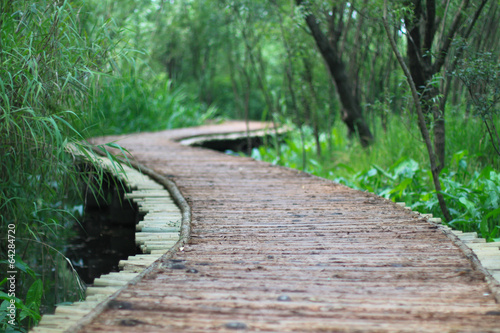 The wood bridge at xixi wetland hangzhou china photo