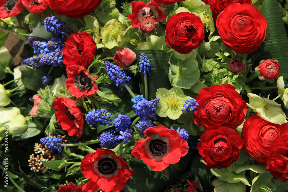 Spring flowers in red and blue