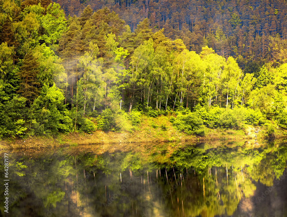 Swamp lake