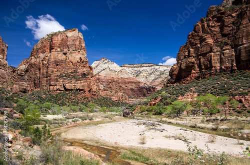 The Virgin River in Zion Canyon