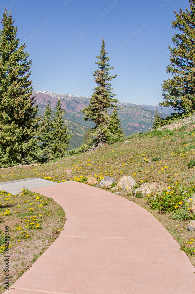 Paved Path in the Mountains