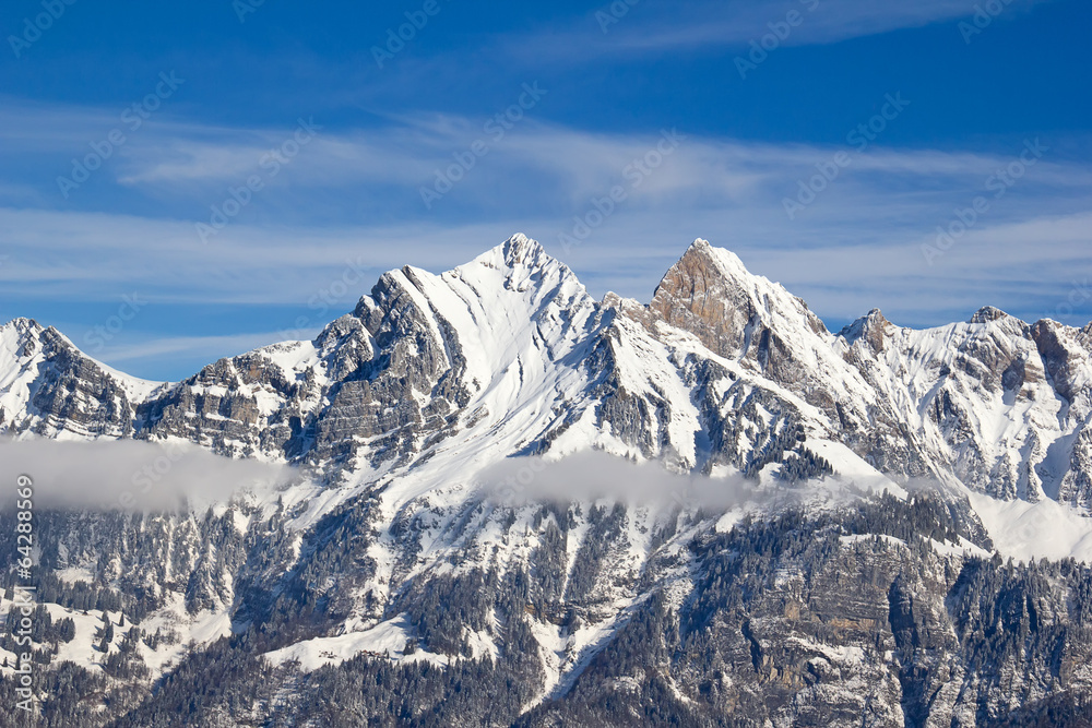 Obraz premium Winter landscape