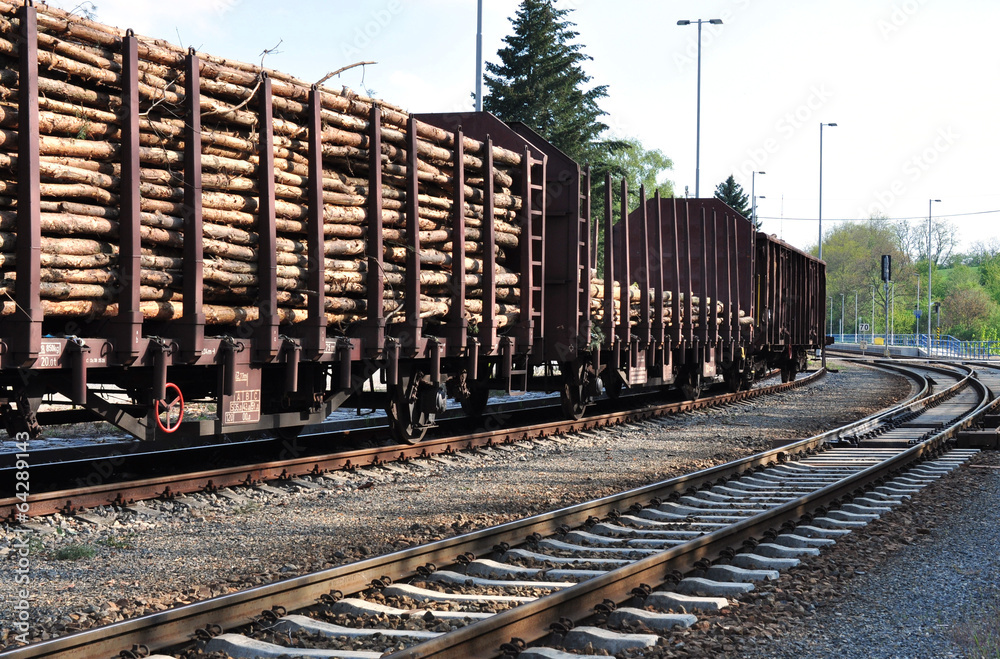 wagons with wood to the station