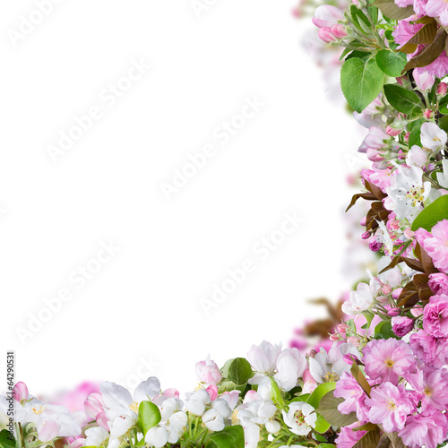 Spring blossoms background © Lukas Gojda
