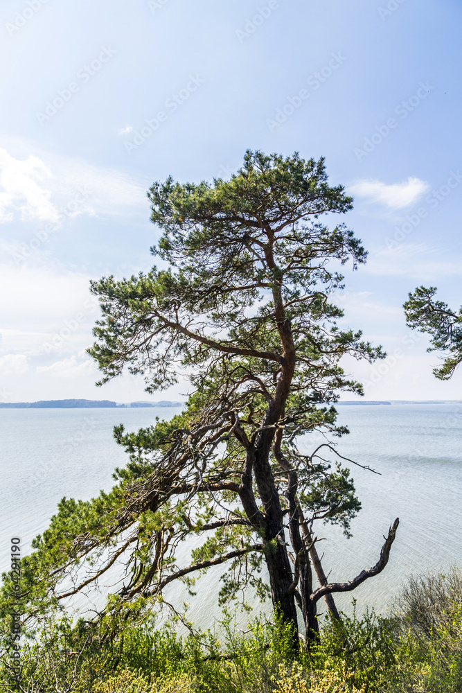 romantic steep cliff with lake