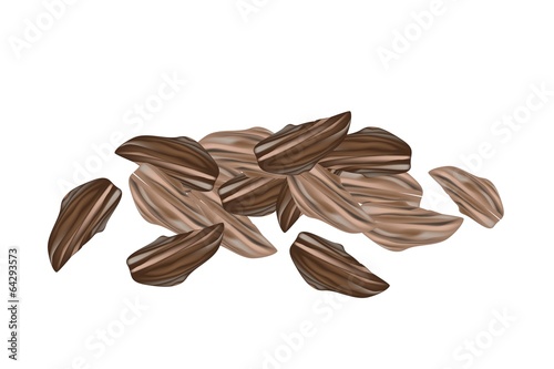 Dried Cardamom Pods on A White Background