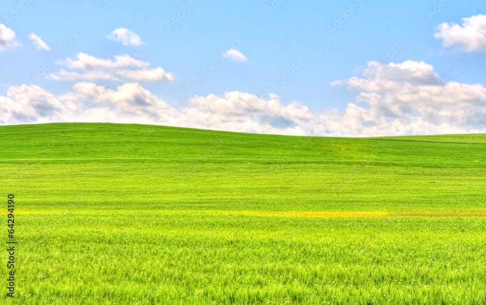 green grass field landscape under blue sky