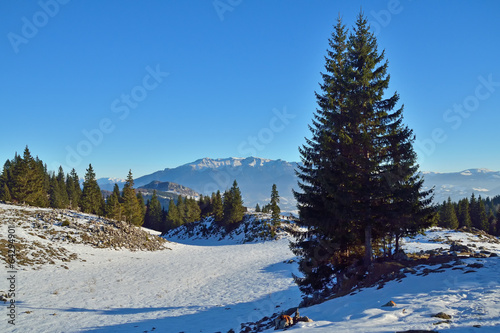 Beautiful winter landscape © a-weblogiq