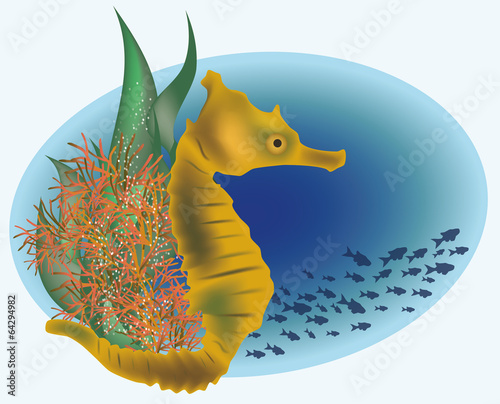 Marine life with sea horse, vector illustration