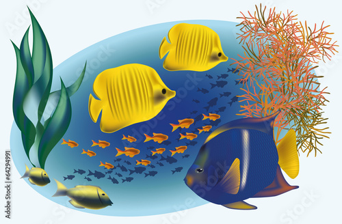 Marine life with tropical fishes, vector illustration