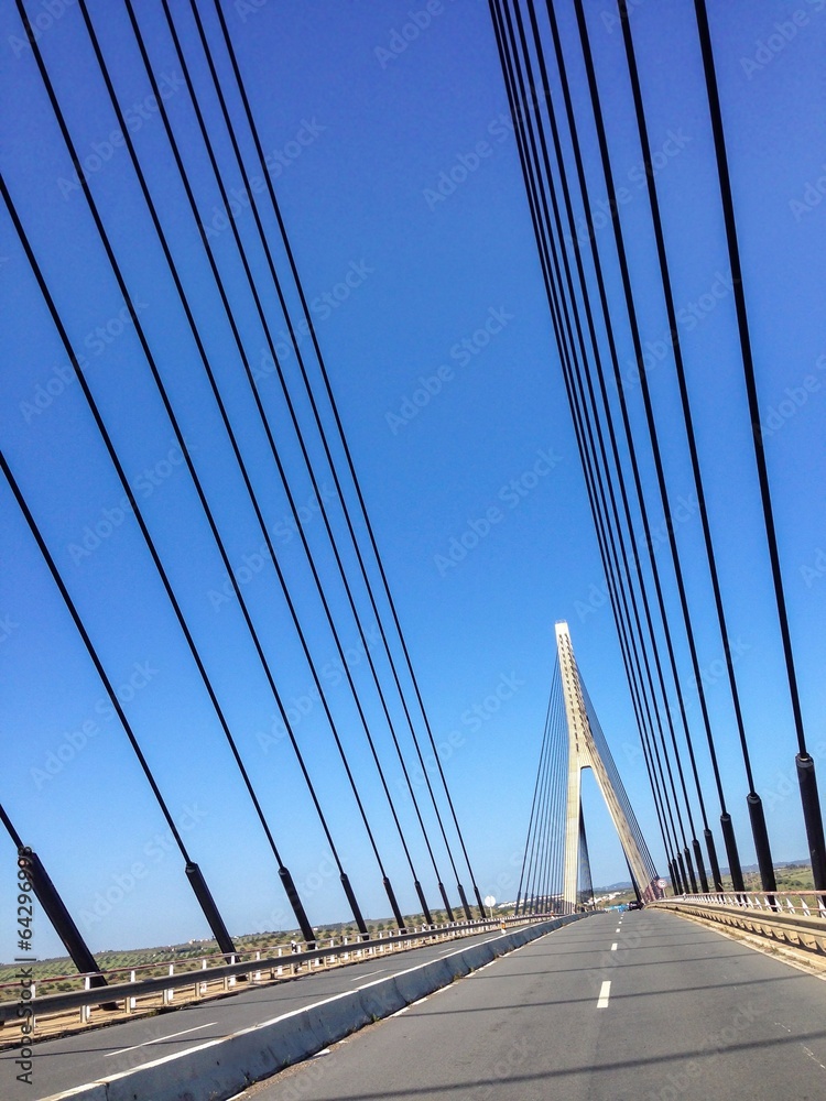 Fototapeta premium Suspension Bridge