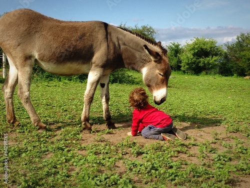 burro y niño