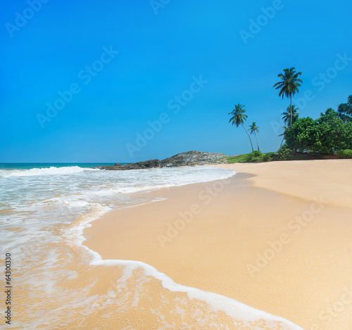Beach with waves against rock and palm trees in sunny day