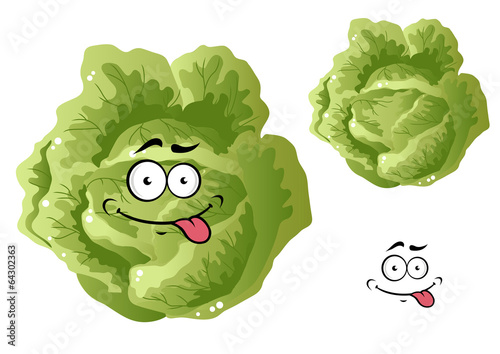 Green funny cabbage vegetable