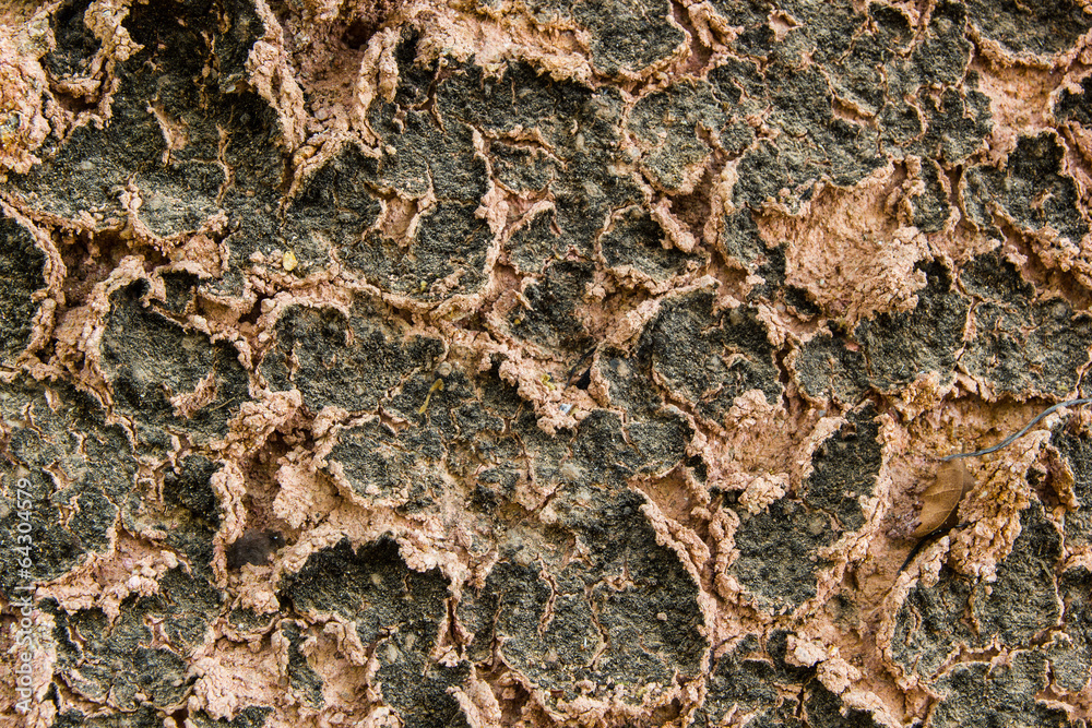 Cracked ground