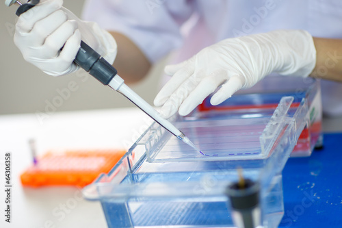 Loading samples into  gel for electrophoresis