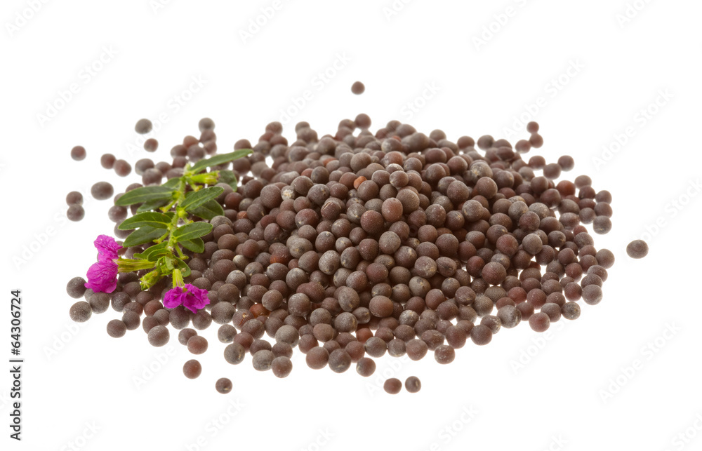 Black mustard seeds Black mustard seeds